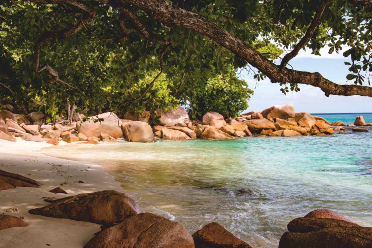 Seychelles: Discover Paradise On Earth | The Enterprise World