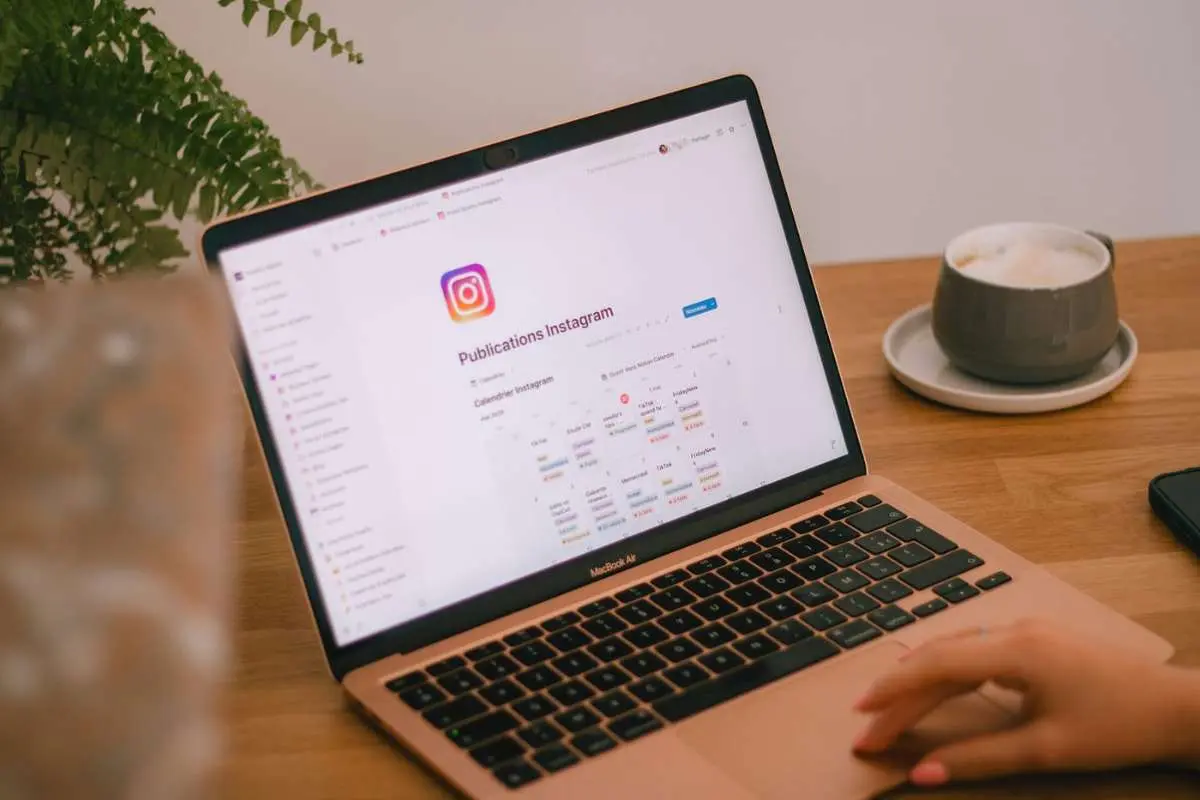 Get Free Instagram Followers Organically in 2026 | The Enterprise World