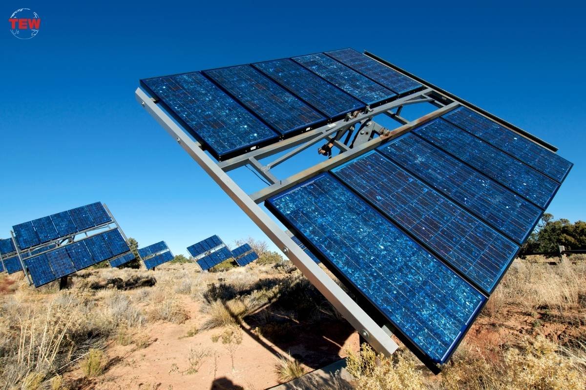 How To Shift Your Business To Solar Power Successfully? | The Enterprise World