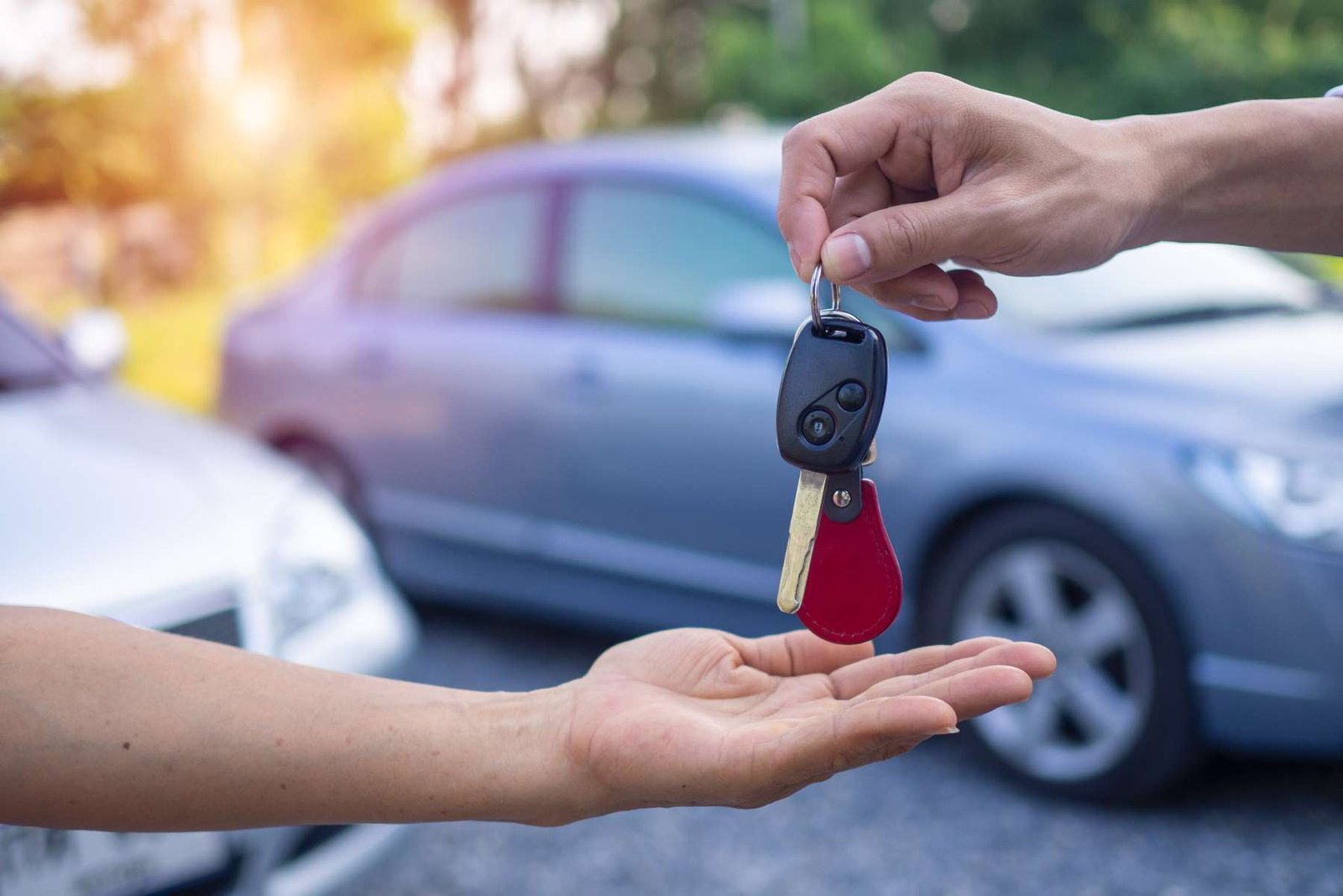 How to Secure a Profitable Deal When Buying a Used Car? | The Enterprise World