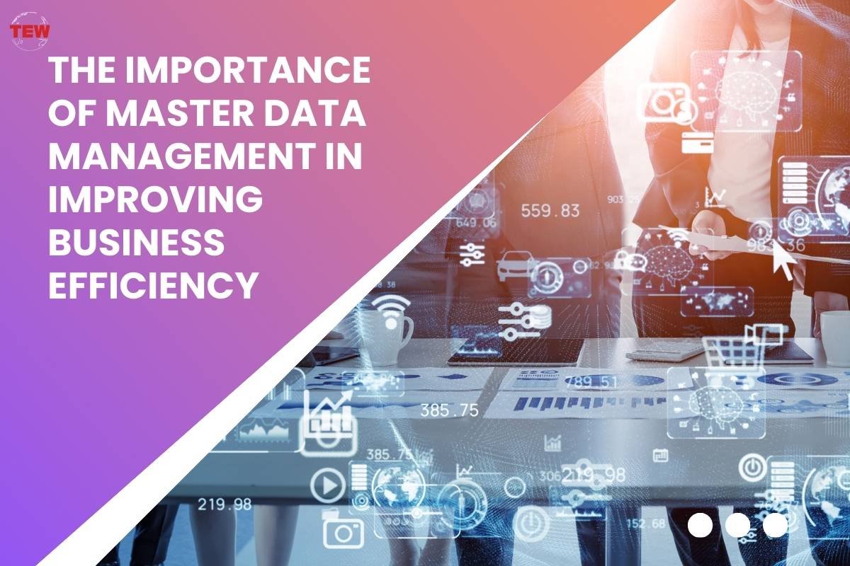The Importance of Master Data Management in Improving Business Efficiency