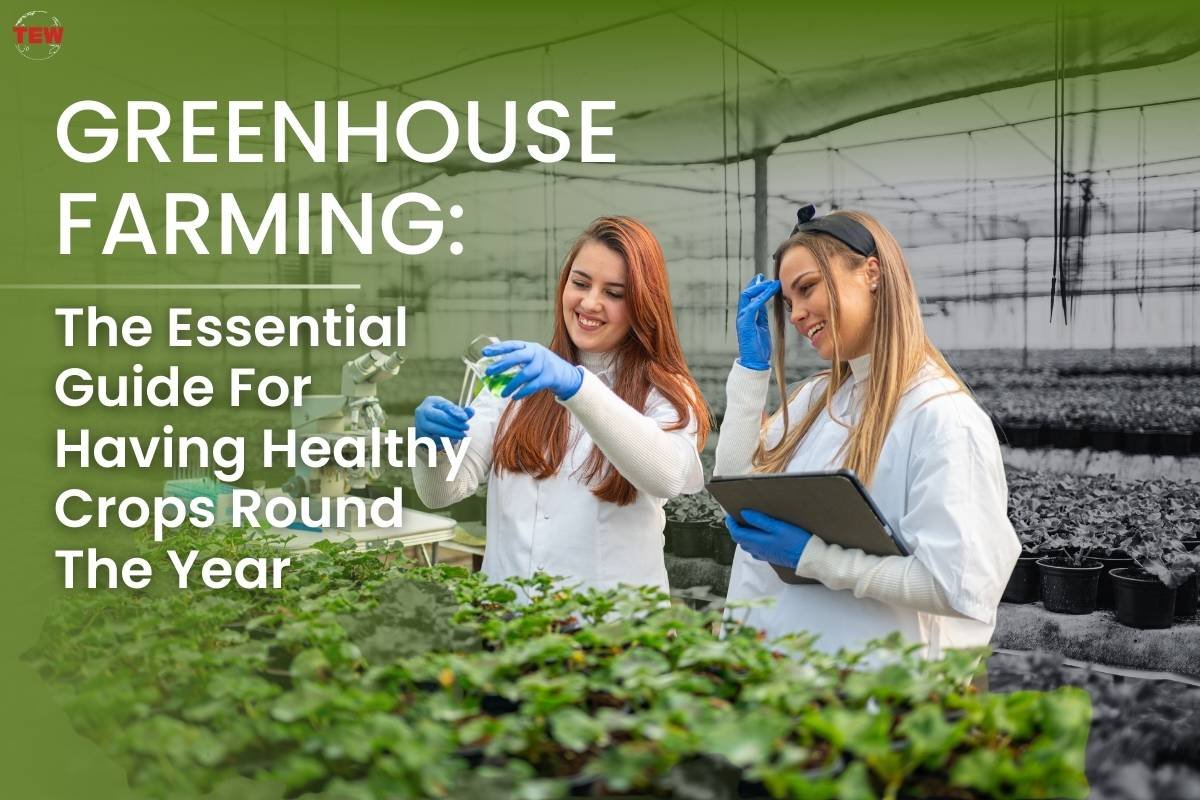 Greenhouse Farming: The Essential Guide For Having Healthy Crops Round The Year