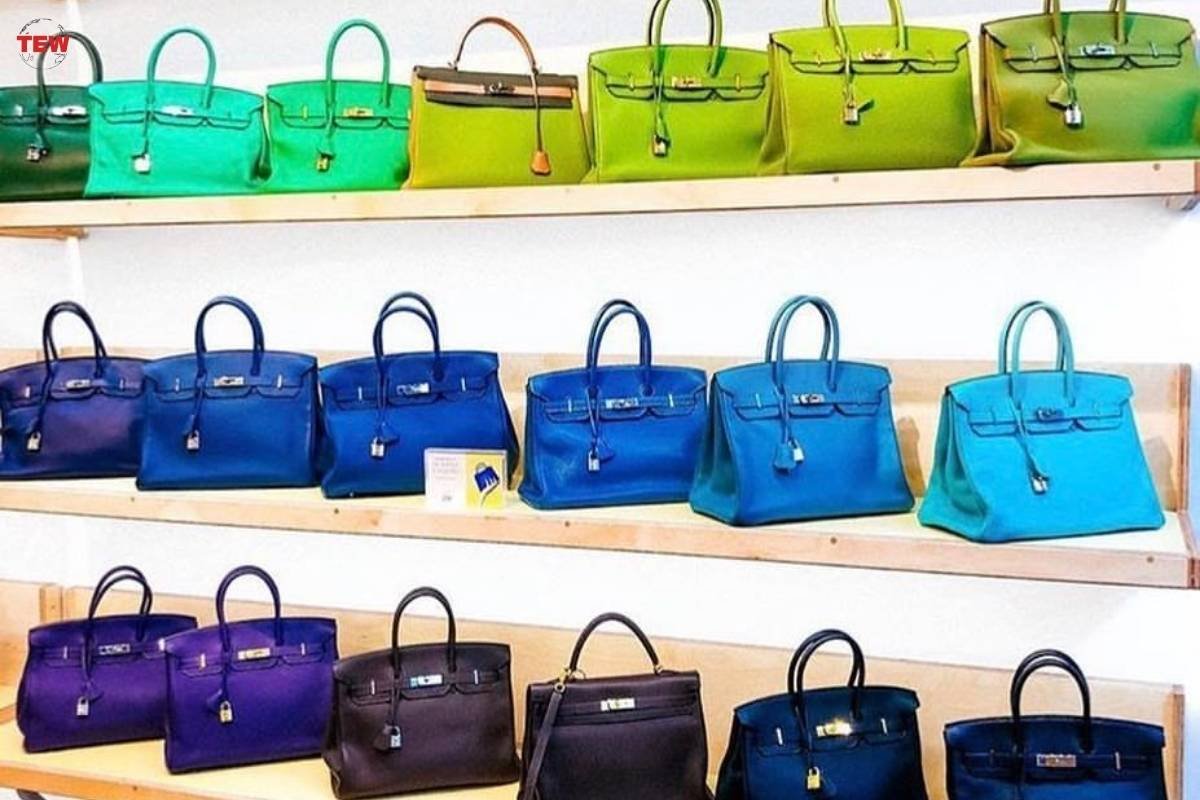 Know about the Hermes Birkin Bag | The Enterprise World