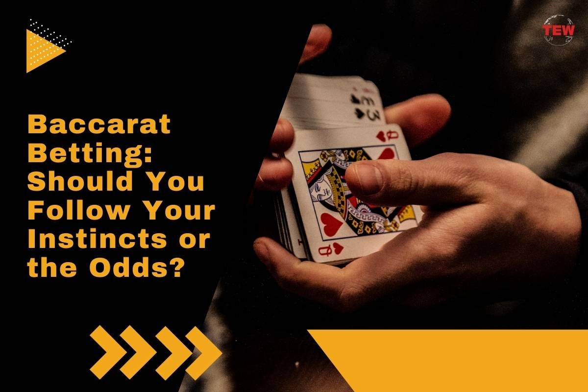 Baccarat Betting: Should You Follow Your Instincts or the Odds? | The Enterprise World