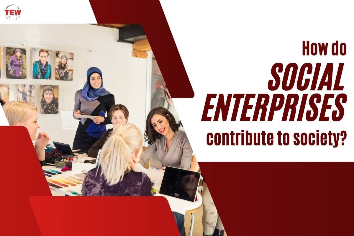 How do social enterprises contribute to society?
