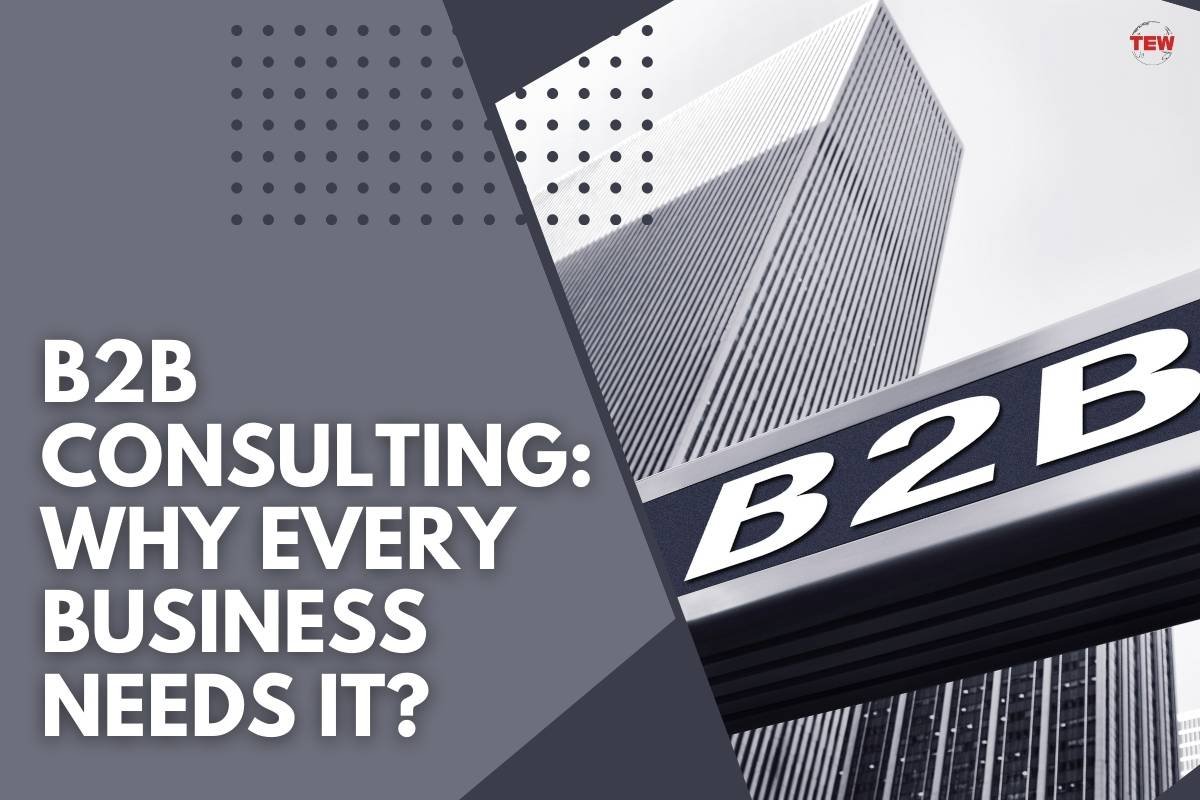 B2B Consulting: Why Every Business Needs It? | The Enterprise World
