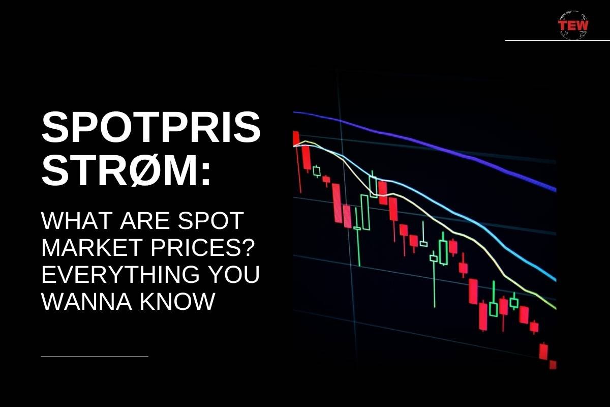 Spotpris Strøm: What Are Spot Market Prices? Everything You Wanna Know 