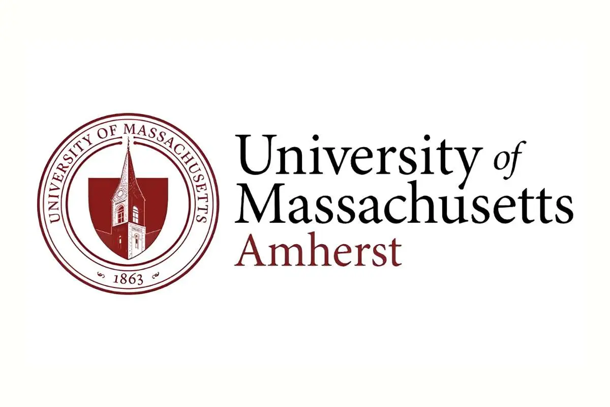12 Online MBA Programs for Entrepreneurs With Different Strengths  | The Enterprise World