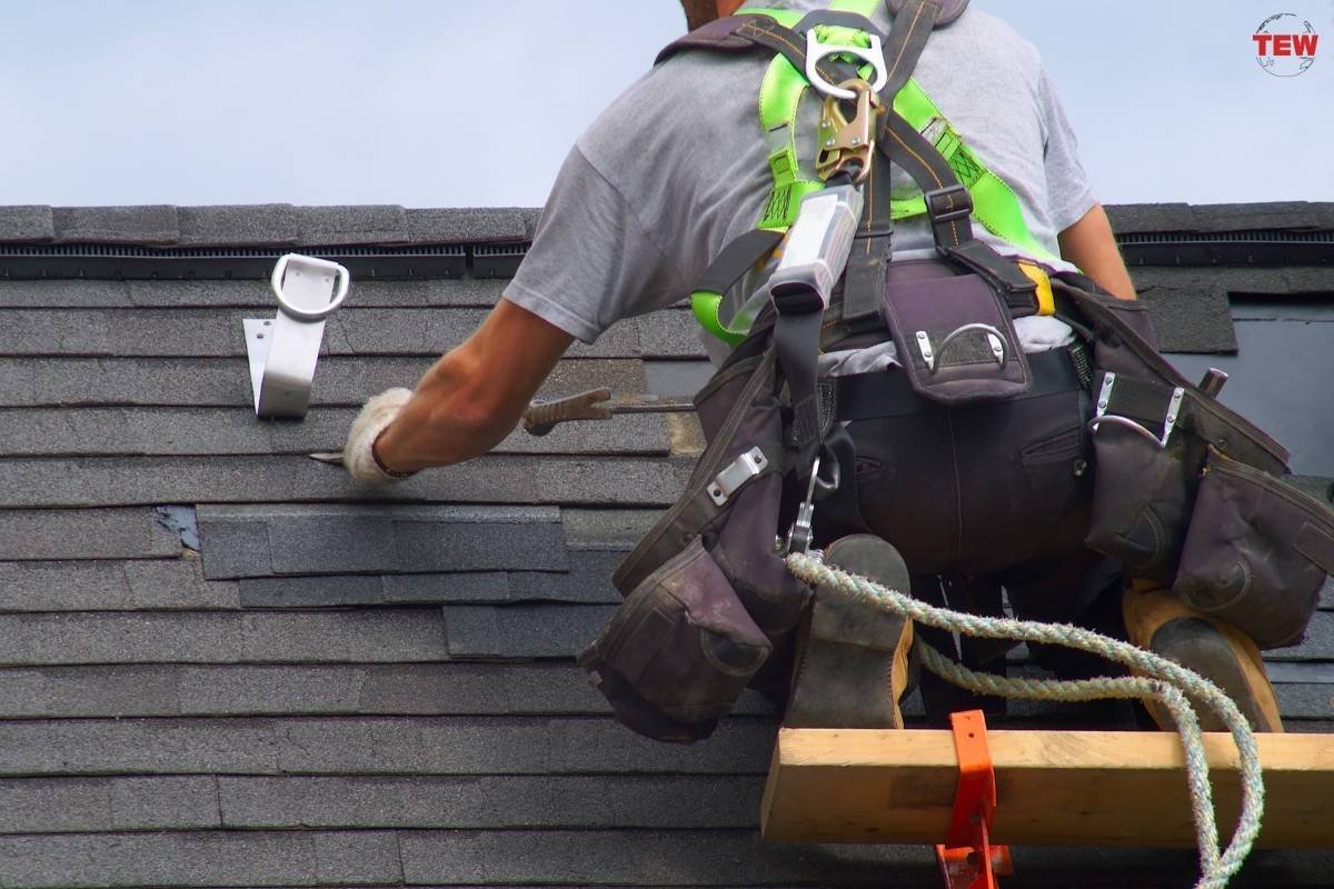 Roof Replacement vs. Roof Repair: Exploring the Advantages | The Enterprise World