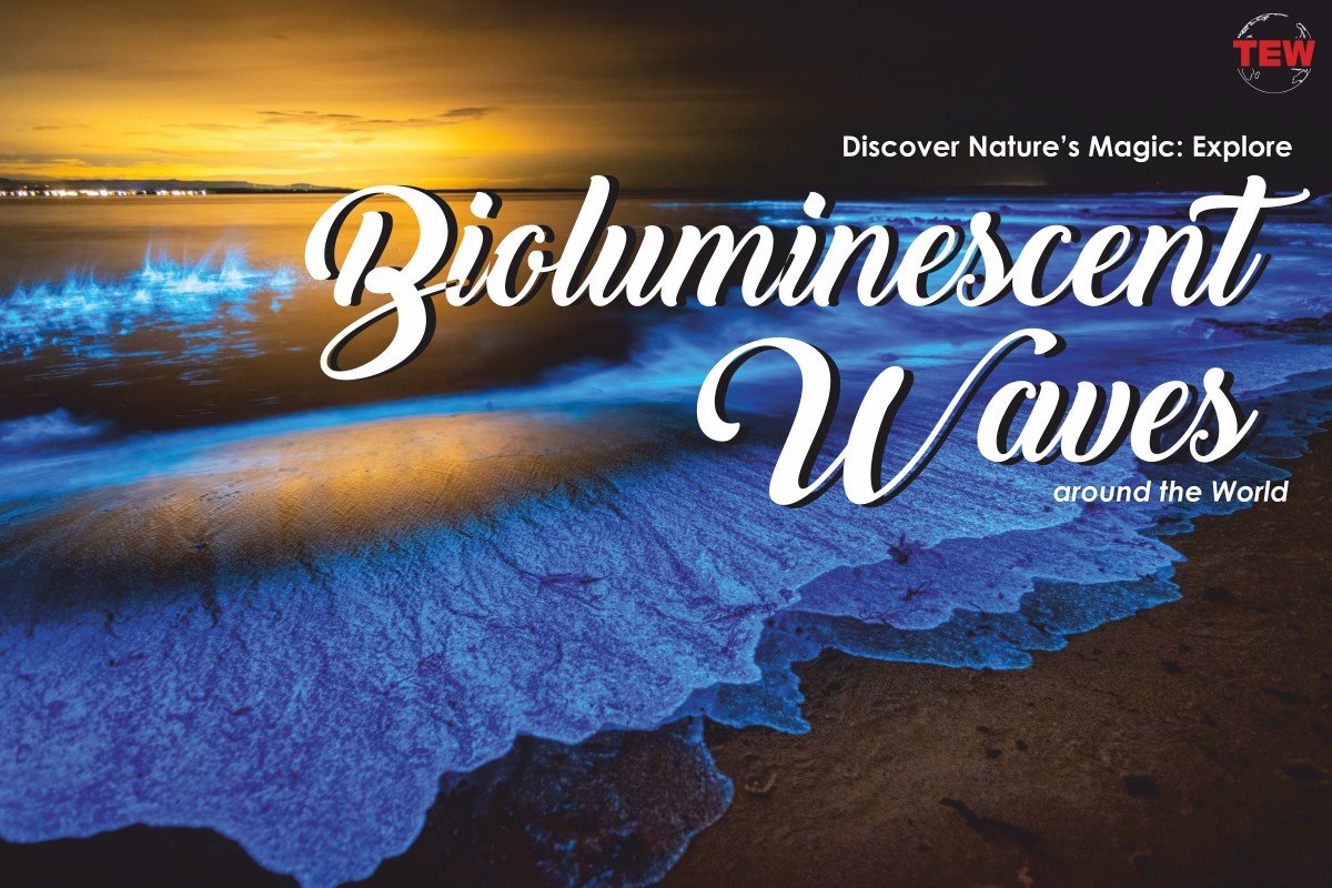 Discover Nature’s Magic: Explore Bioluminescent Waves around the World