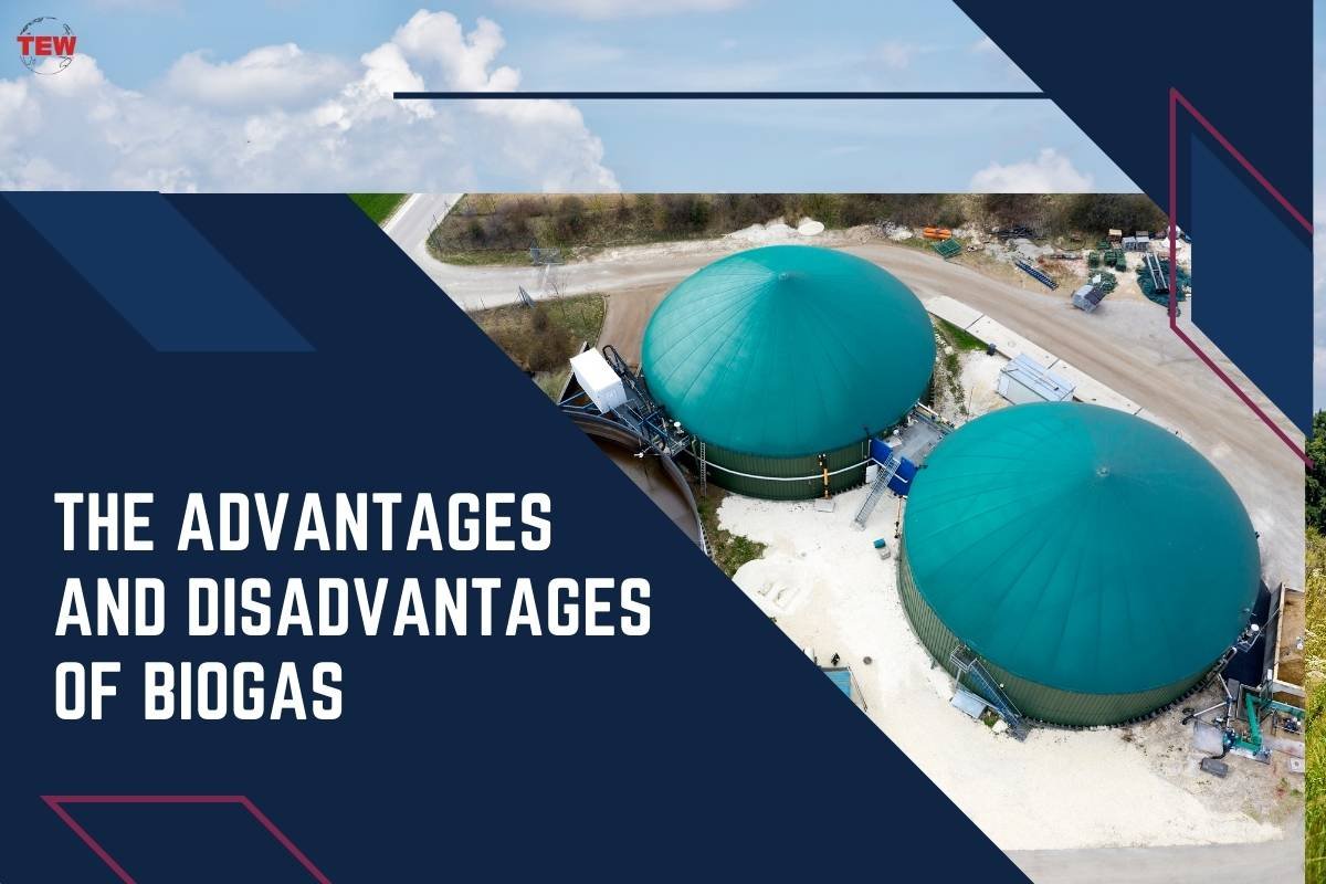 The Advantages and Disadvantages of Biogas 