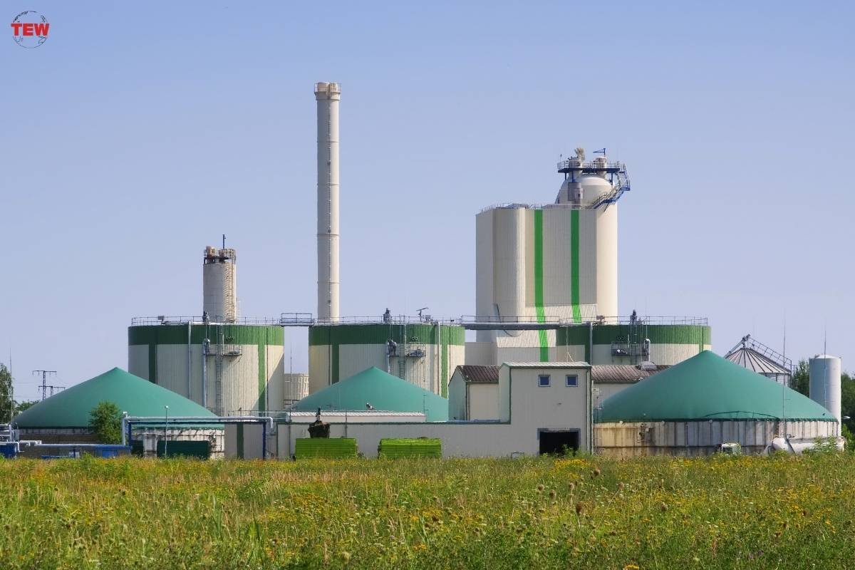The Advantages and Disadvantages of Biogas | The Enterprise World