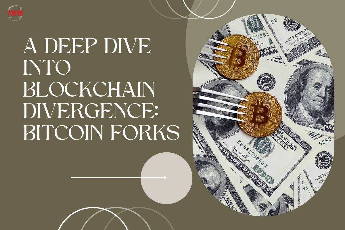 A Deep Dive into Blockchain Divergence: Bitcoin Forks 