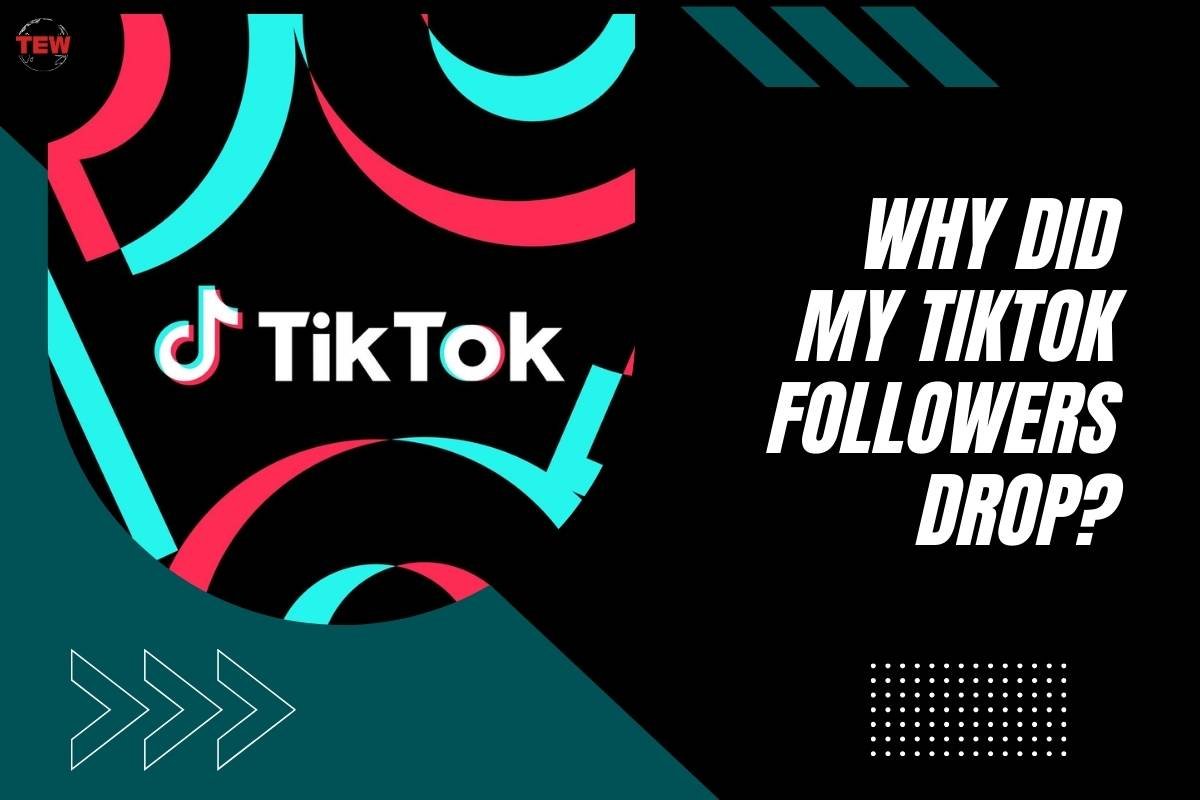 Why Did My TikTok Followers Drop? | The Enterprise World