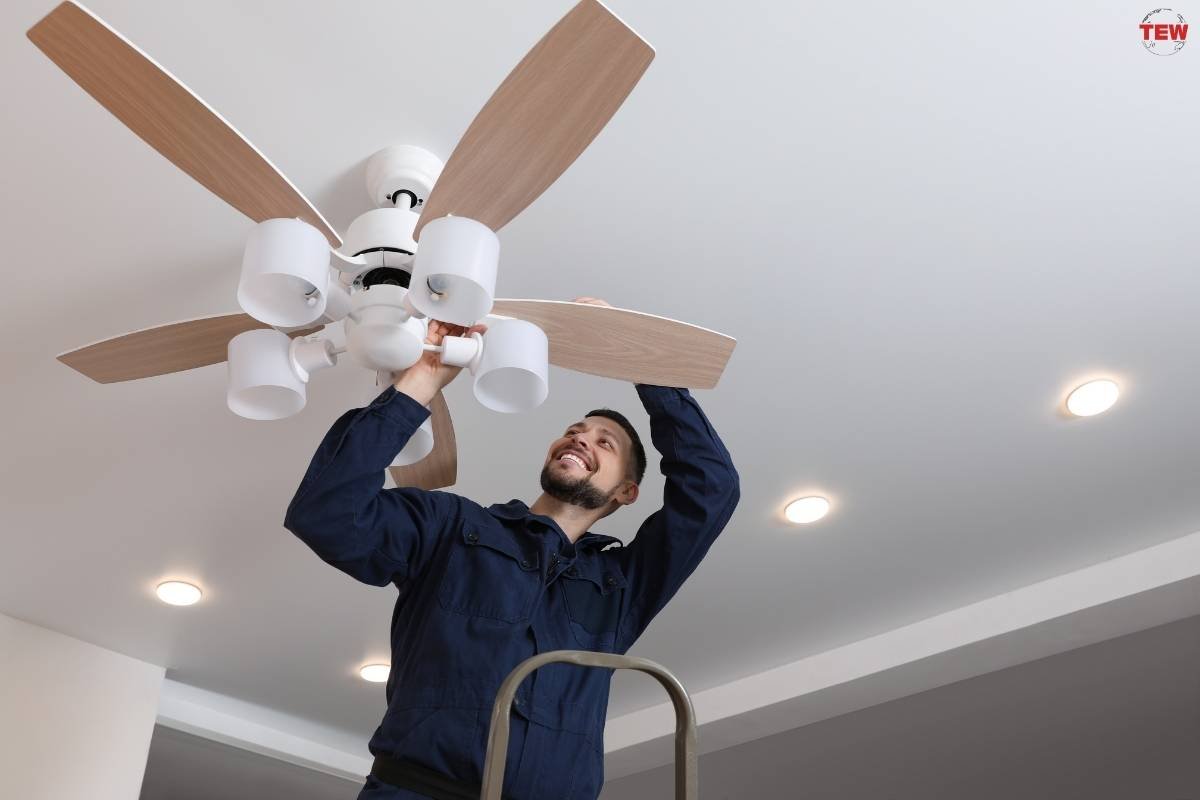  5 Top Picks for the Best Modern Ceiling Fan With Lights | The Enterprise World