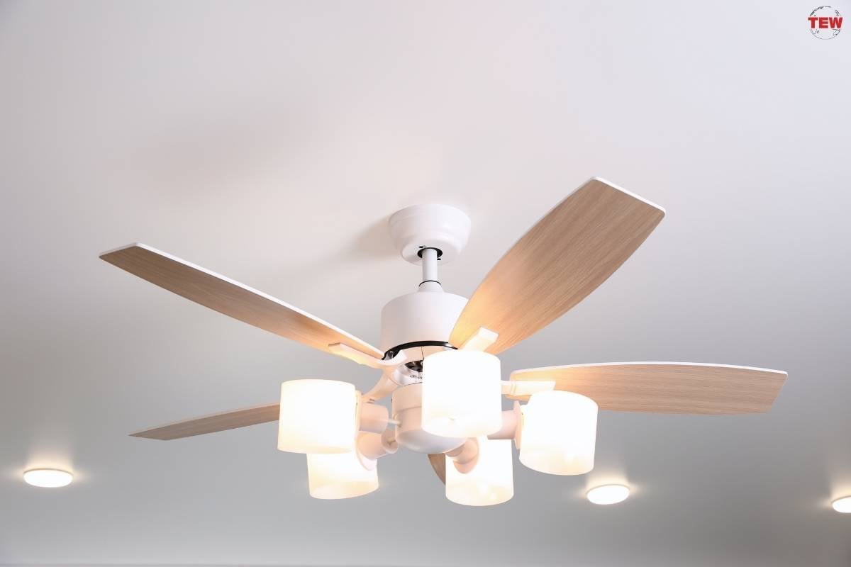  5 Top Picks for the Best Modern Ceiling Fan With Lights | The Enterprise World