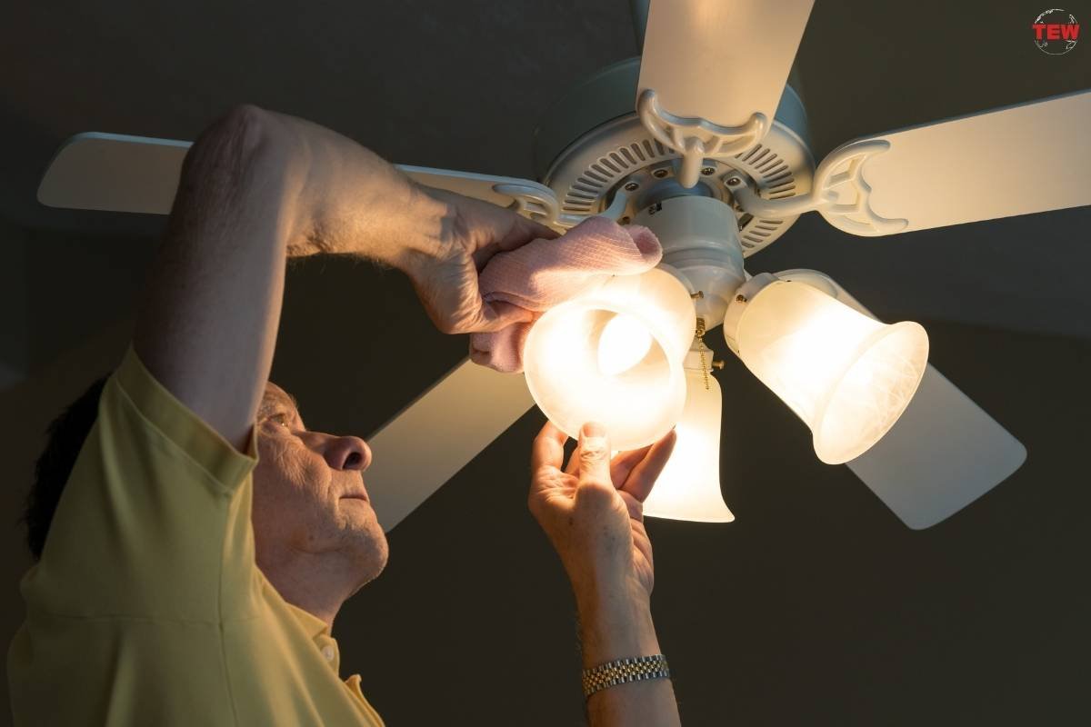  5 Top Picks for the Best Modern Ceiling Fan With Lights | The Enterprise World