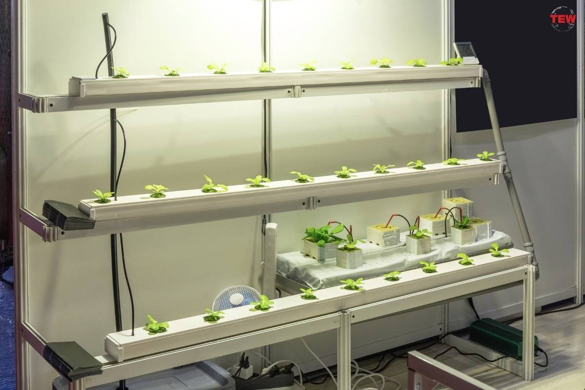 3 Indoor Gardening Innovations Aspiring Entrepreneurs Should Know About | The Enterprise World