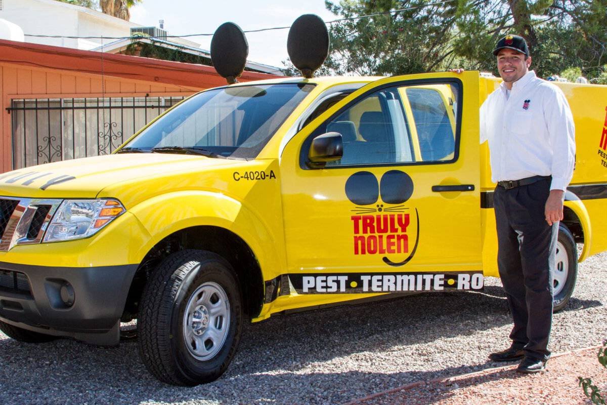 Top 10 Pest Control Services: Keeping Your Home Pest Free | The Enterprise World