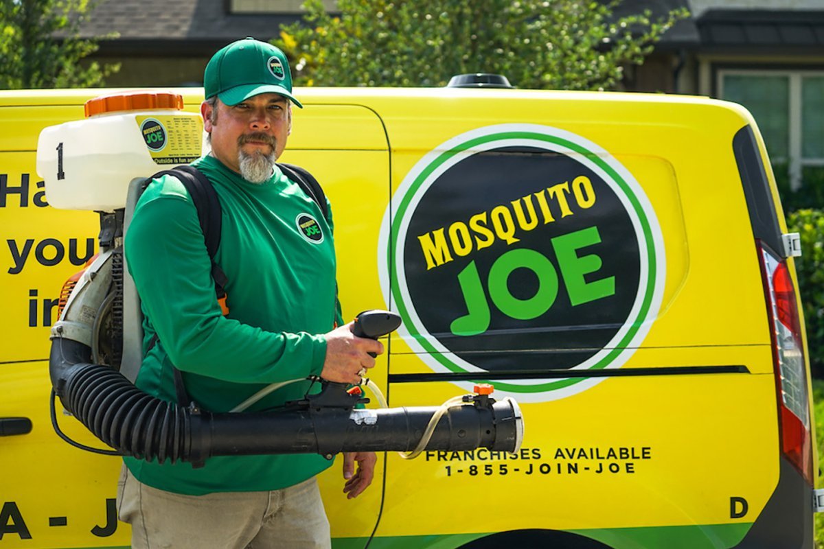 Top 10 Pest Control Services: Keeping Your Home Pest Free | The Enterprise World