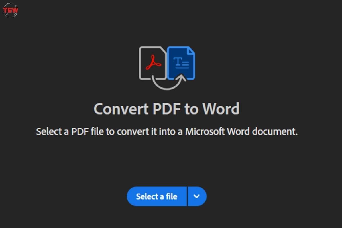 How to Convert a Bank Statement Pdf to a Word Document? | The Enterprise World