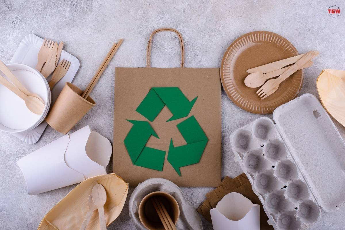 5 Unusual Sustainable Business Practices | The Enterprise World