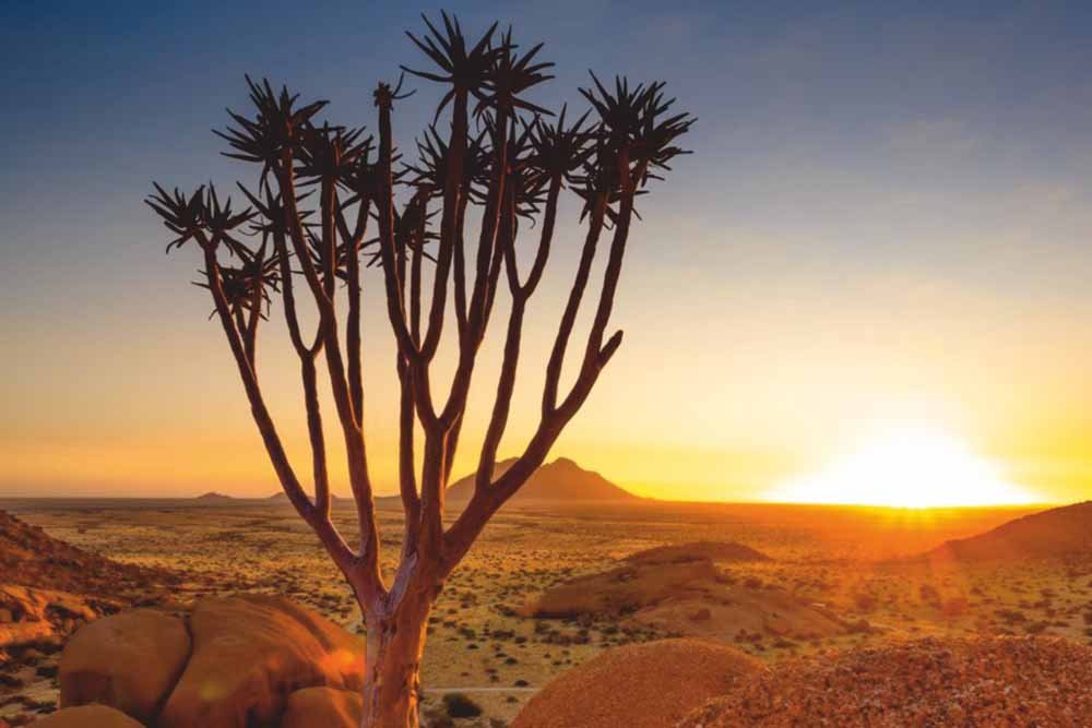 Namibia: A Thrilling Cultural and Adventure Journey | The Enterprise World