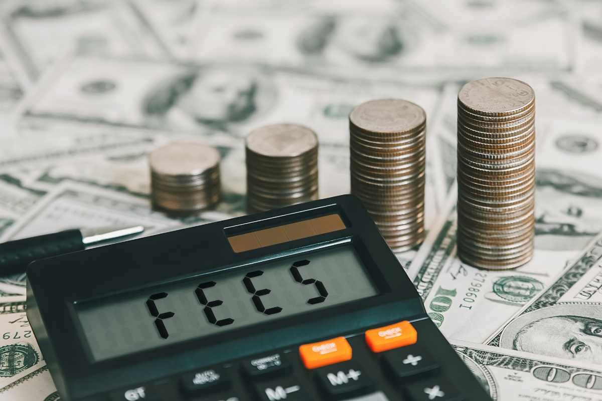 Understanding the Costs and Fees of Business Registration | The Enterprise World