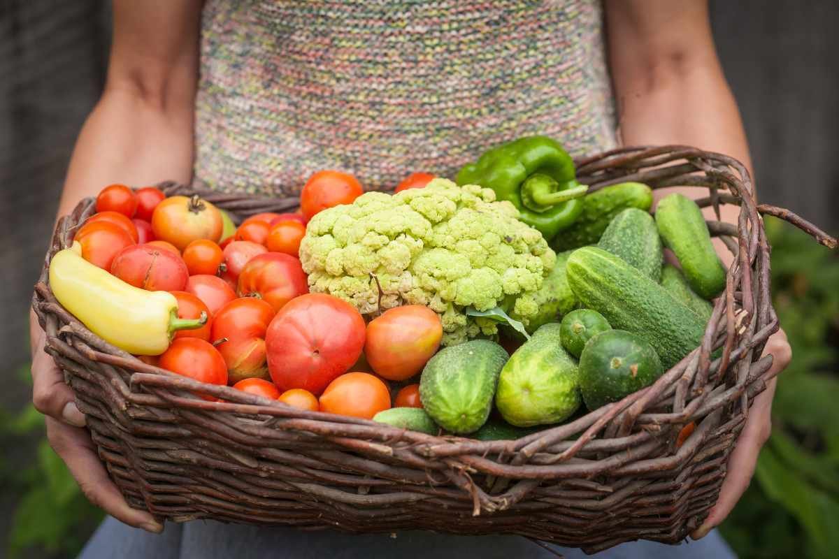 Top 5 Benefits of Growing With a Hydroponic Garden Tower | The Enterprise World