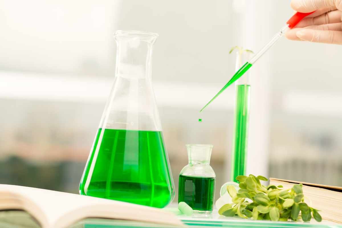 Botanical Extractions: Historical Significance, Modern-day Relevance, and Scientific Intricacies | The Enterprise World