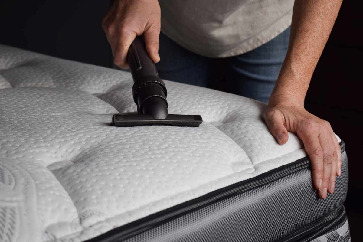 5 Practical Tips On How to Care for Your Saatva Mattress | The Enterprise World