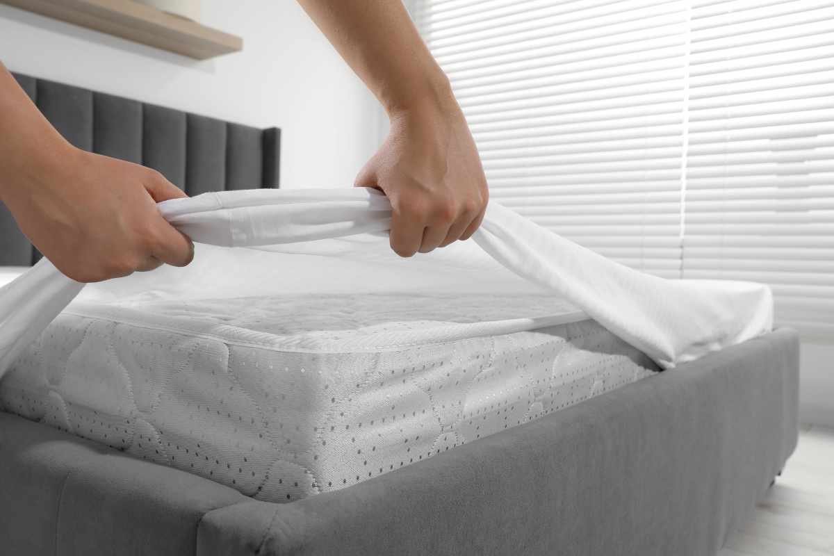 5 Practical Tips On How to Care for Your Saatva Mattress | The Enterprise World