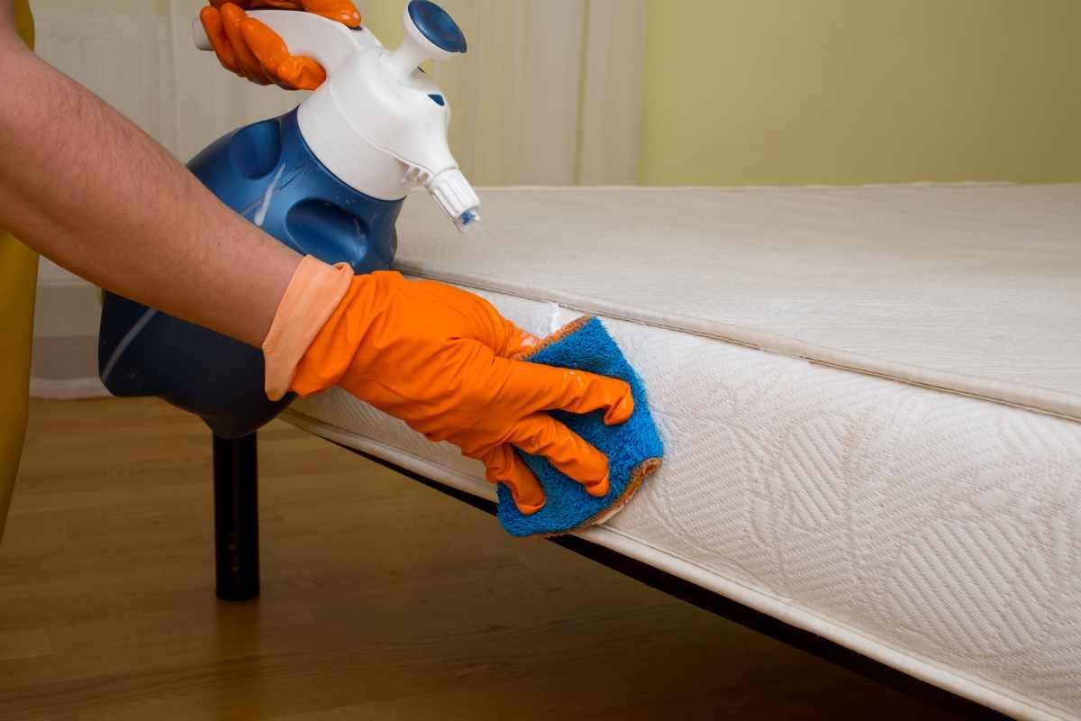 5 Practical Tips On How to Care for Your Saatva Mattress | The Enterprise World