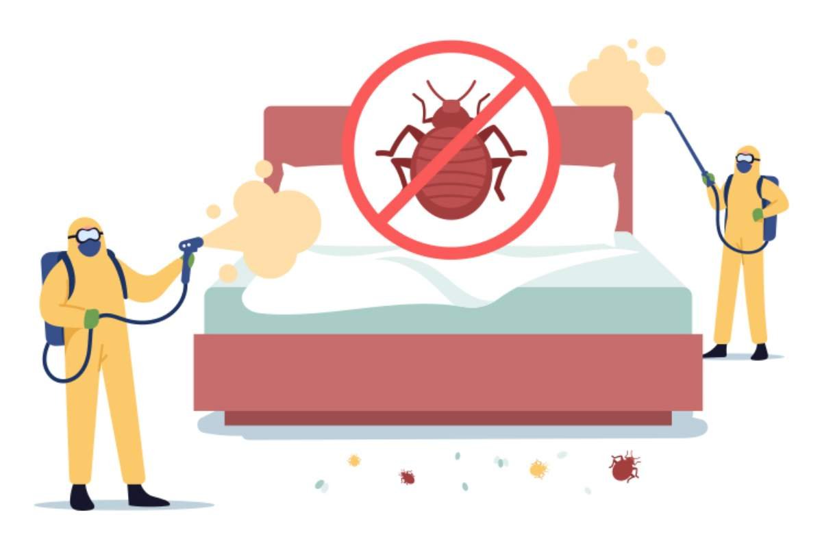 Bed Bug Treatment Made Simple: Say Goodbye to Bites | The Enterprise World