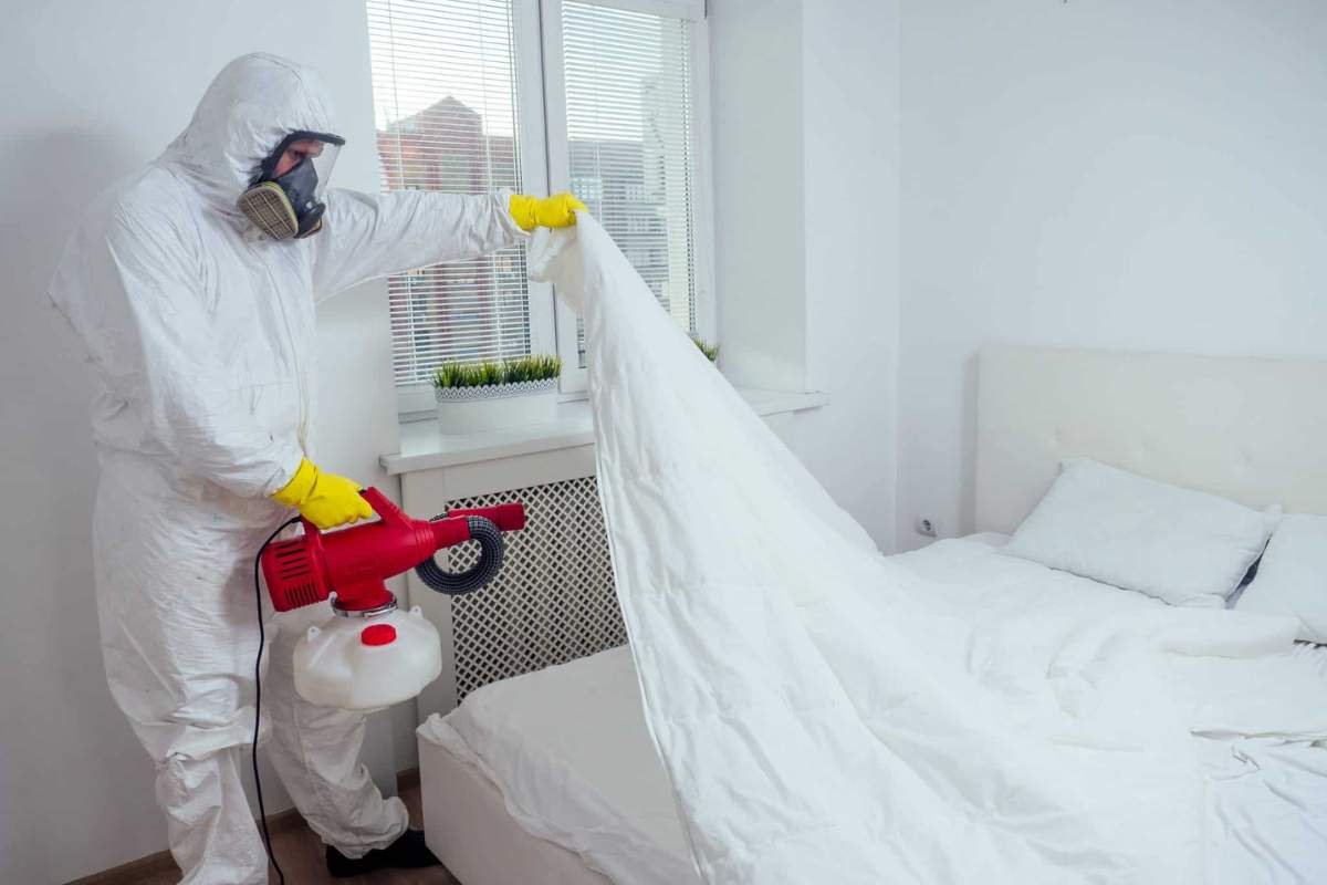 Bed Bug Treatment Made Simple: Say Goodbye to Bites | The Enterprise World