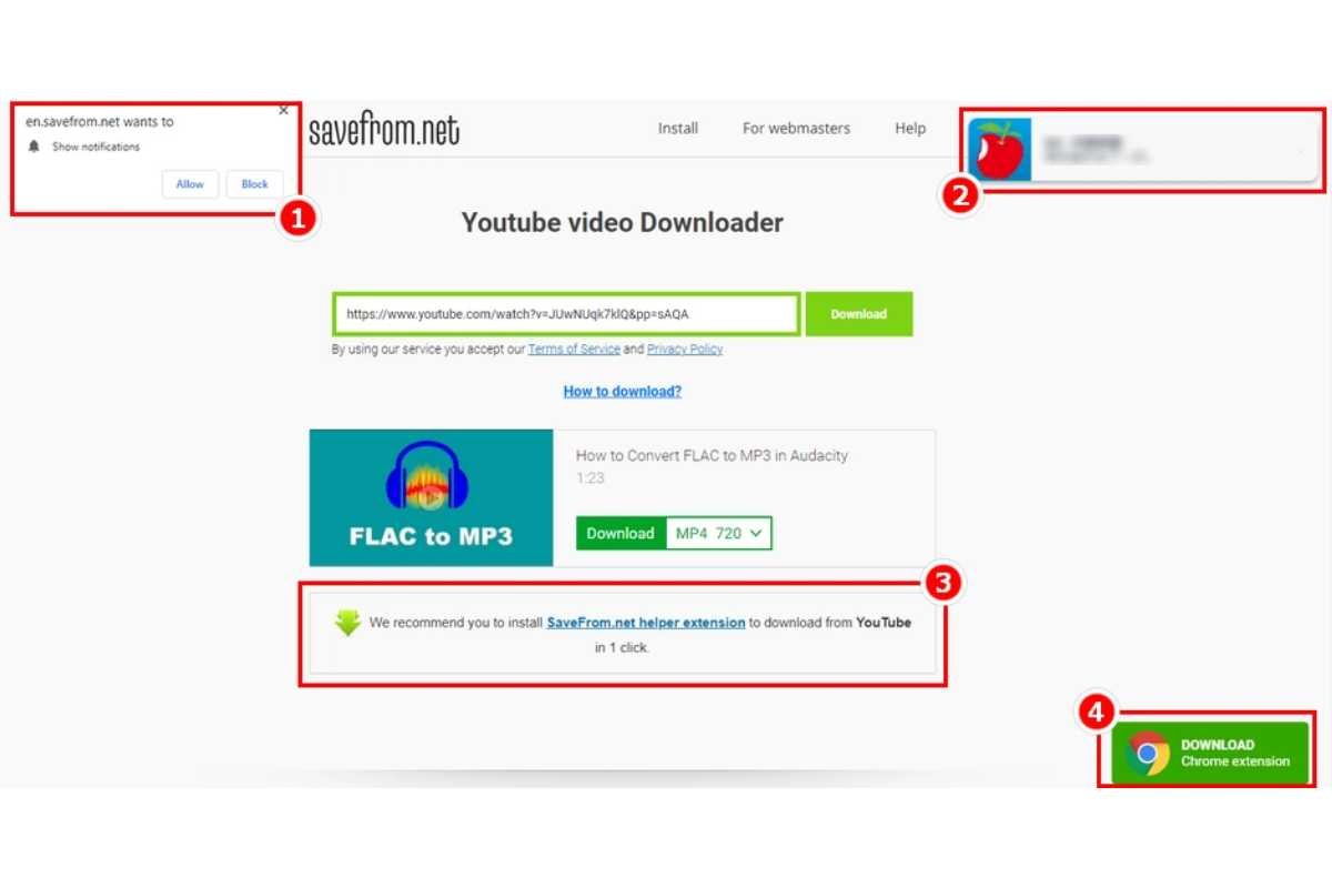 How to Use Savefrom.net for Video Downloads? | The Enterprise World