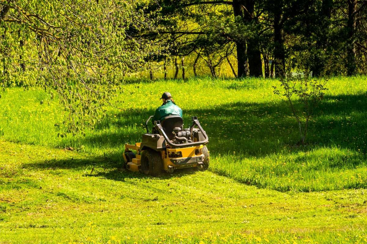 Benefits of Grass for Football Surfaces | The Enterprise World