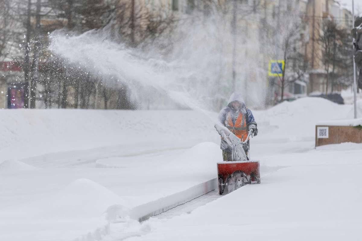 How Snow Affects Grass Health in Winter? | The Enterprise World