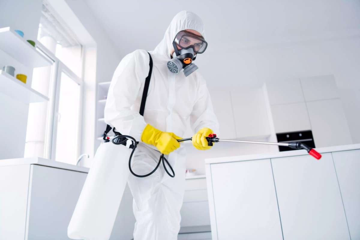 Types of After-Death Cleaning: What You Need to Know | The Enterprise World