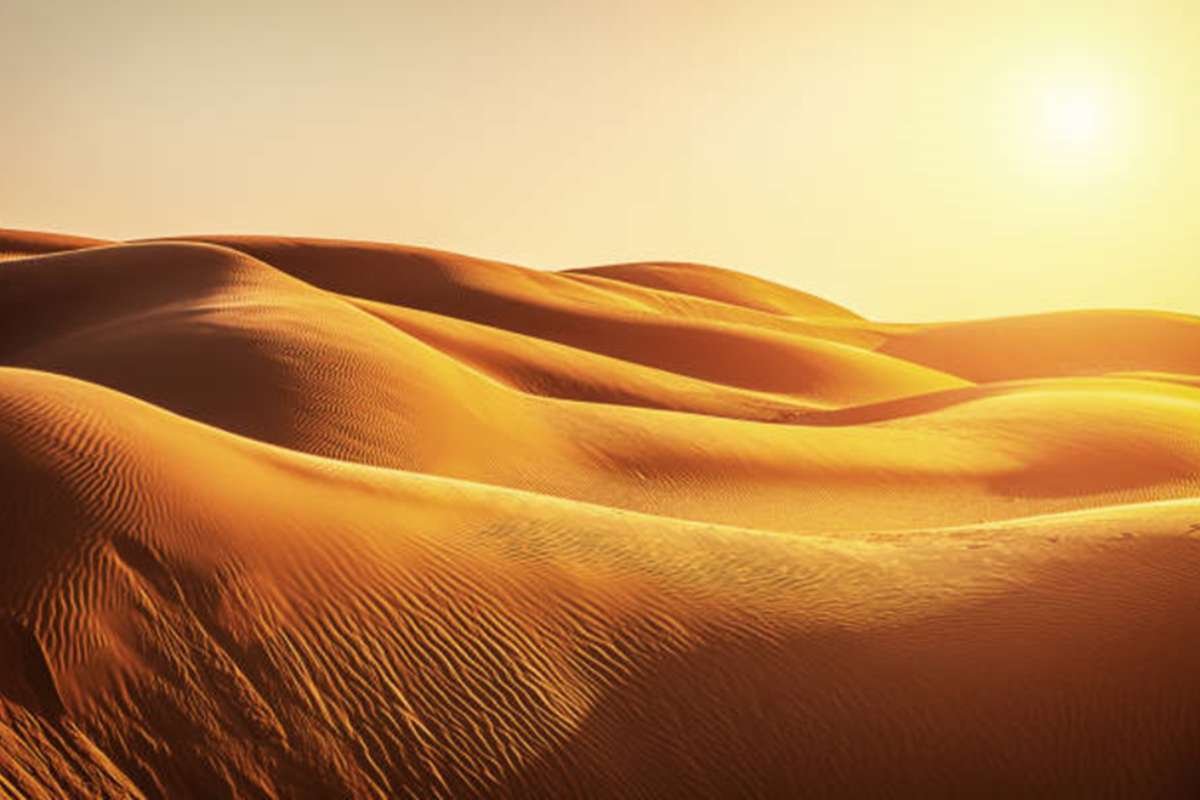 Journey Through the Largest Desert in Asia: Explore Gobi | The Enterprise World