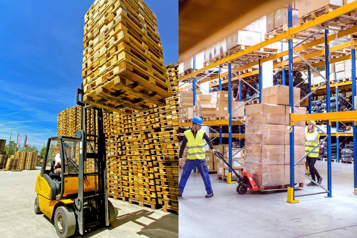 What Are Pallet Trucks and Forklifts: How Do They Differ? | The Enterprise World