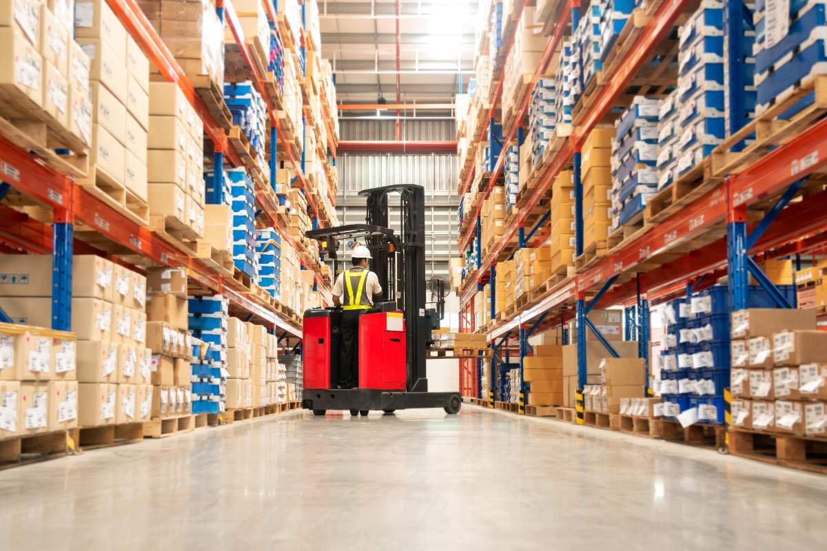 What Are Pallet Trucks and Forklifts: How Do They Differ? | The Enterprise World