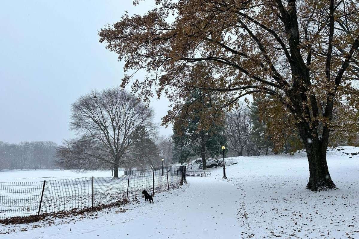 First White Christmas in 15 Years for New York City | The Enterprise World