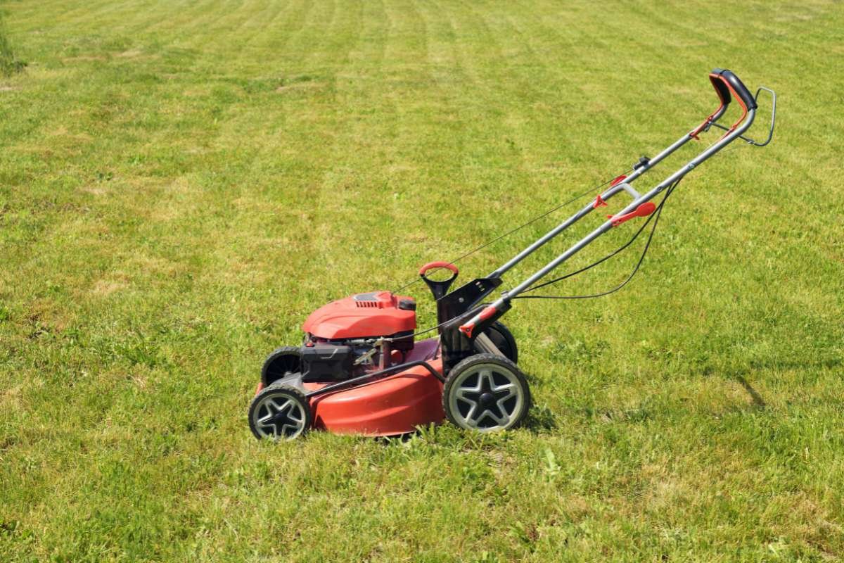 10 Essential Push Mower Parts for Keeping Your Lawn Pristine | The Enterprise World 