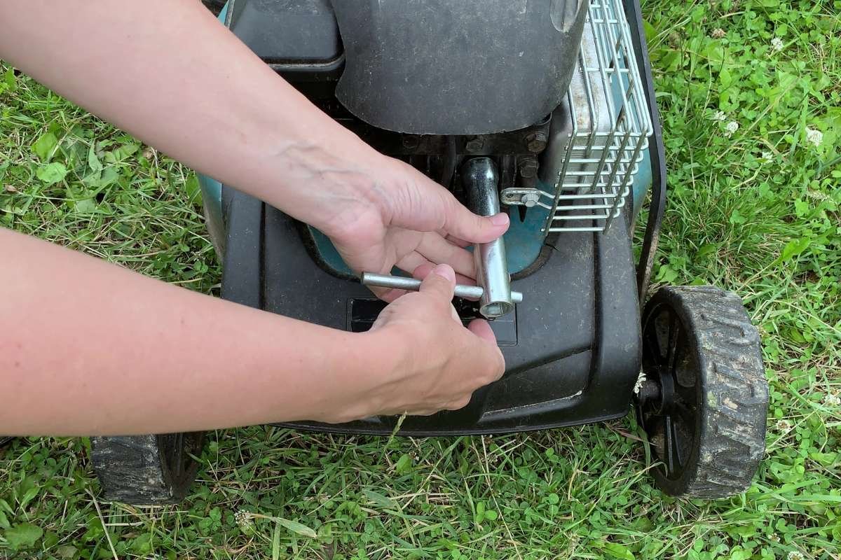 10 Essential Push Mower Parts for Keeping Your Lawn Pristine | The Enterprise World 