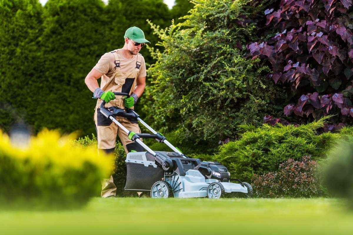 10 Essential Push Mower Parts for Keeping Your Lawn Pristine | The Enterprise World 