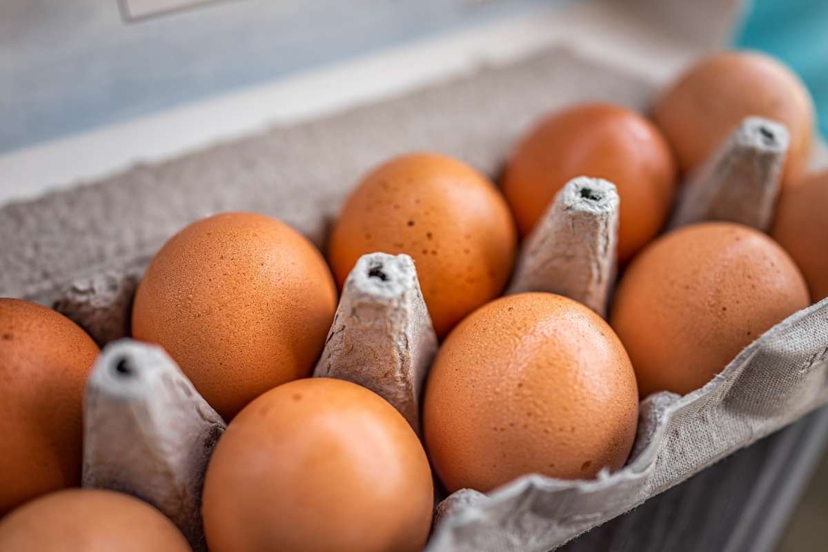 Egg Prices Poised to Soar Amid Avian Flu Crisis | The Enterprise World