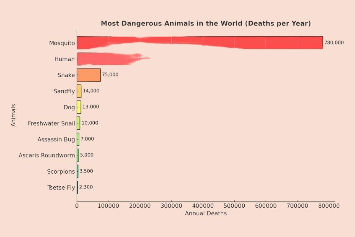 10 Most Dangerous Animals in the World | The Enterprise World 