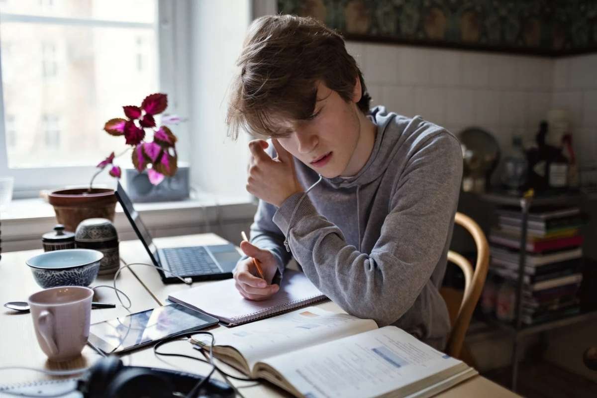 How to Find the Best Homework Assistance Resource? | The Enterprise World