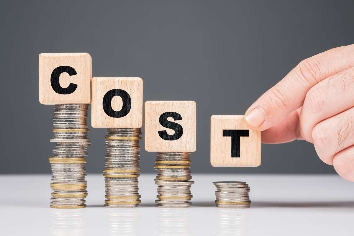 Cost-Efficient Business Model | Businesses Are Shifting to Multi-Vendor Marketplaces: Top 7 Reasons | The Enterprise World